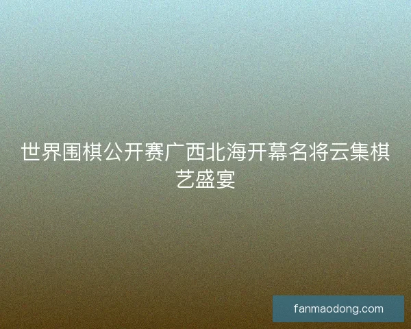 世界围棋公开赛广西北海开幕名将云集棋艺盛宴