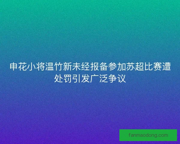 申花小将温竹新未经报备参加苏超比赛遭处罚引发广泛争议