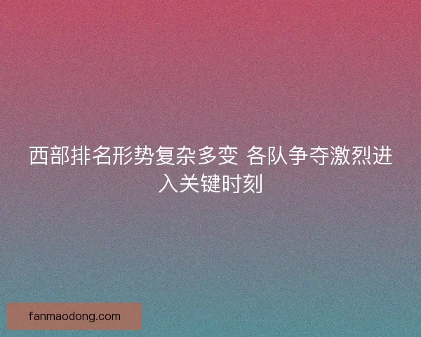 西部排名形势复杂多变 各队争夺激烈进入关键时刻