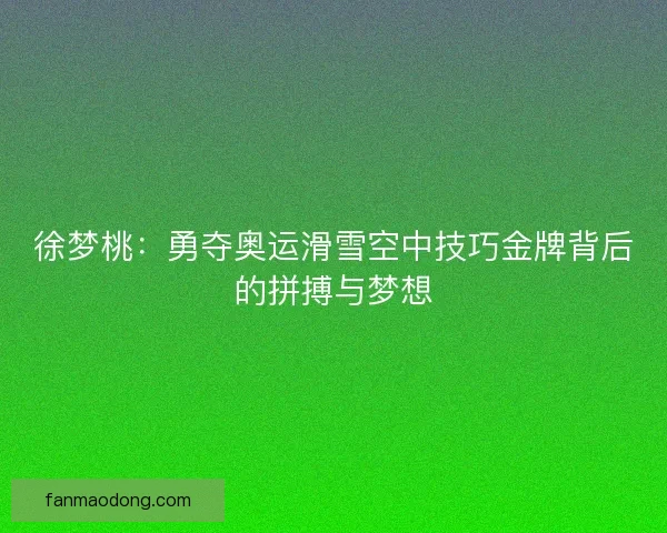 徐梦桃：勇夺奥运滑雪空中技巧金牌背后的拼搏与梦想